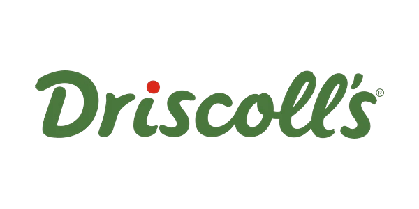Driscoll's logo