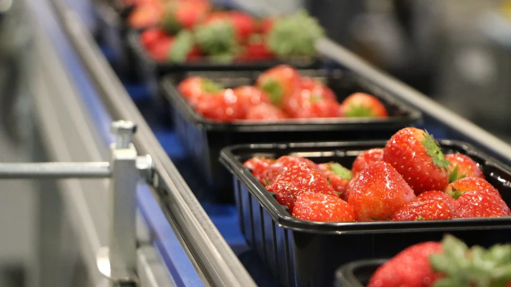viscon-fresh-produce-strawberry-punnet-line