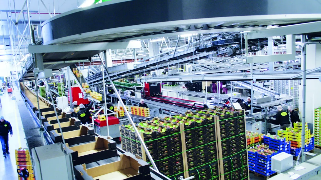 viscon-warehouse-automation-crate-buffer-line